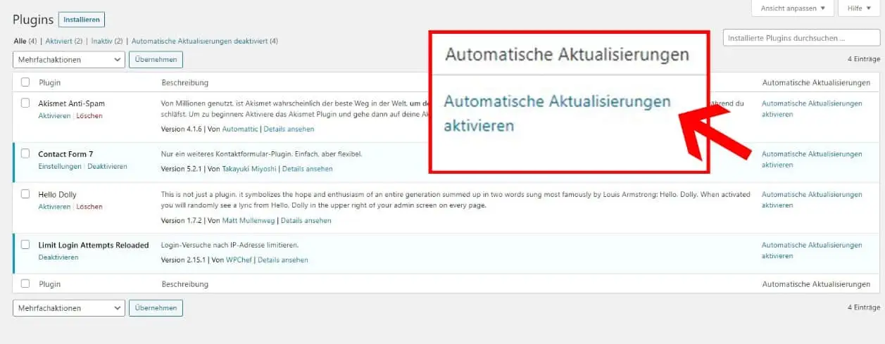 WordPress 5.5, Neuerungen, Auto Update für WordPress-Theme und Plugins