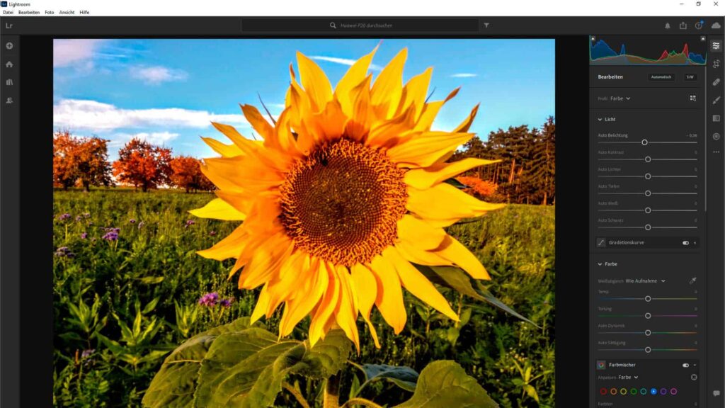 photoshop lightroom grundlagen kurs beispiel 06