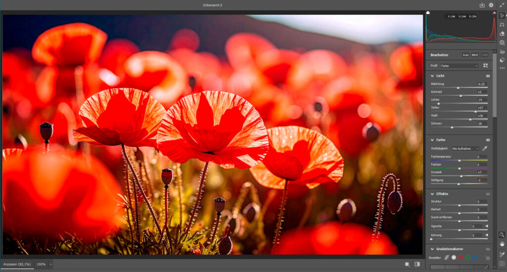 Photoshop Schulung Filter Camera Raw unsertraining.de