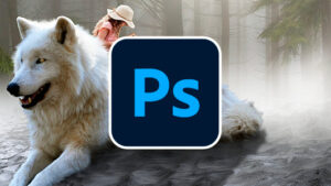 Beitragsbild Photoshop Fortgeschrittenen Kurs