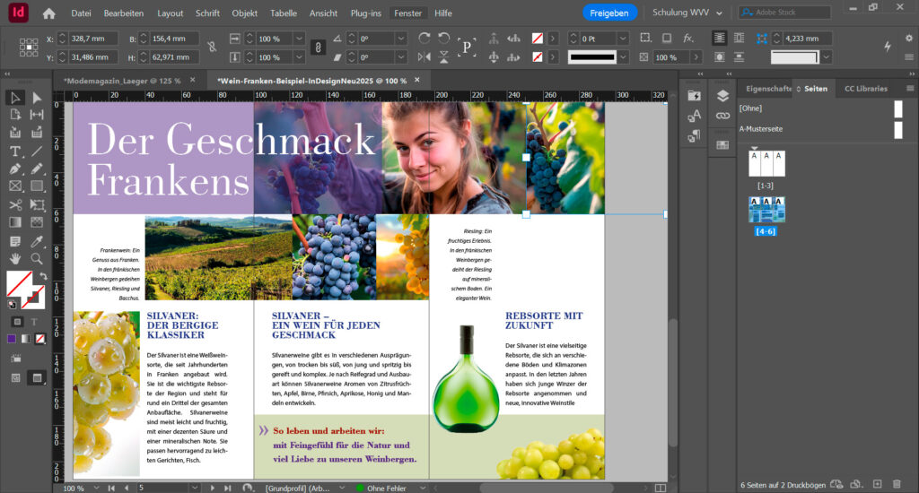 Adobe InDesign Aufbau Schulung Layout Magazin