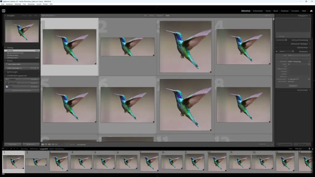 Adobe Lightroom Classic Kurs