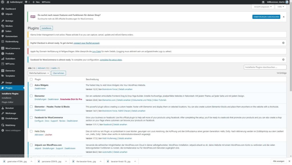 WordPress Admin