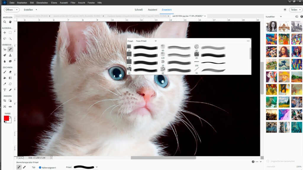 Photoshop Elements Schulung