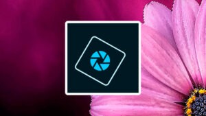Beitragsbild Photoshop Elements Schulung