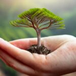 Firefly a handpalm with a tree growing on it 45141