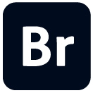 Adobe Bridge Logo Schulung