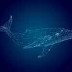 Firefly_A whale looks like a wireframe construction under dark blue water 683622