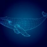 Firefly_A whale looks like a wireframe construction under dark blue water 917280