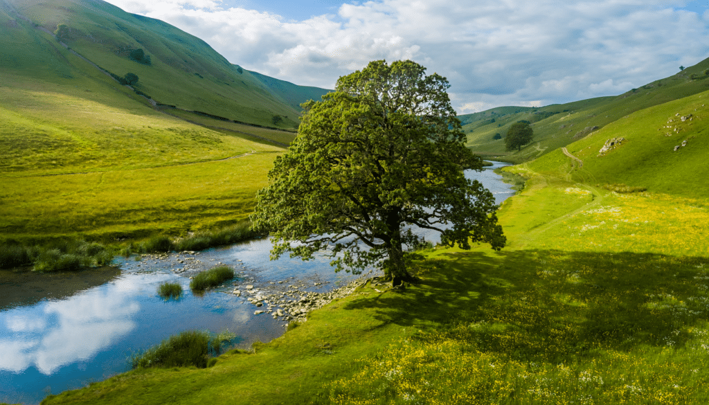 Mit Adobe Firefly Image 5 generiertes KI Landschaftsbild. Baum in einem Tal an einem Fluss